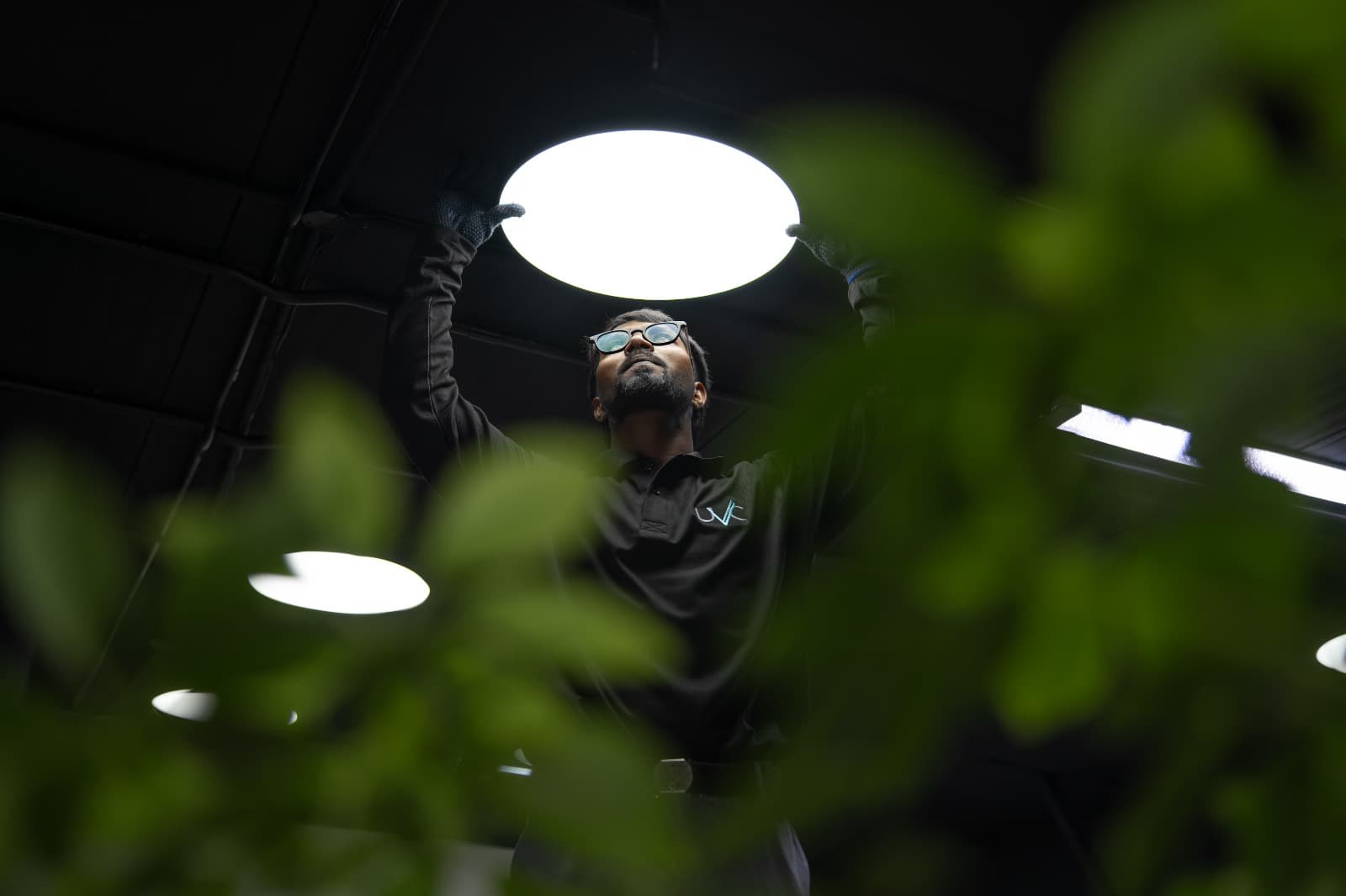 Electrical, Plumbing, and Fire Safety