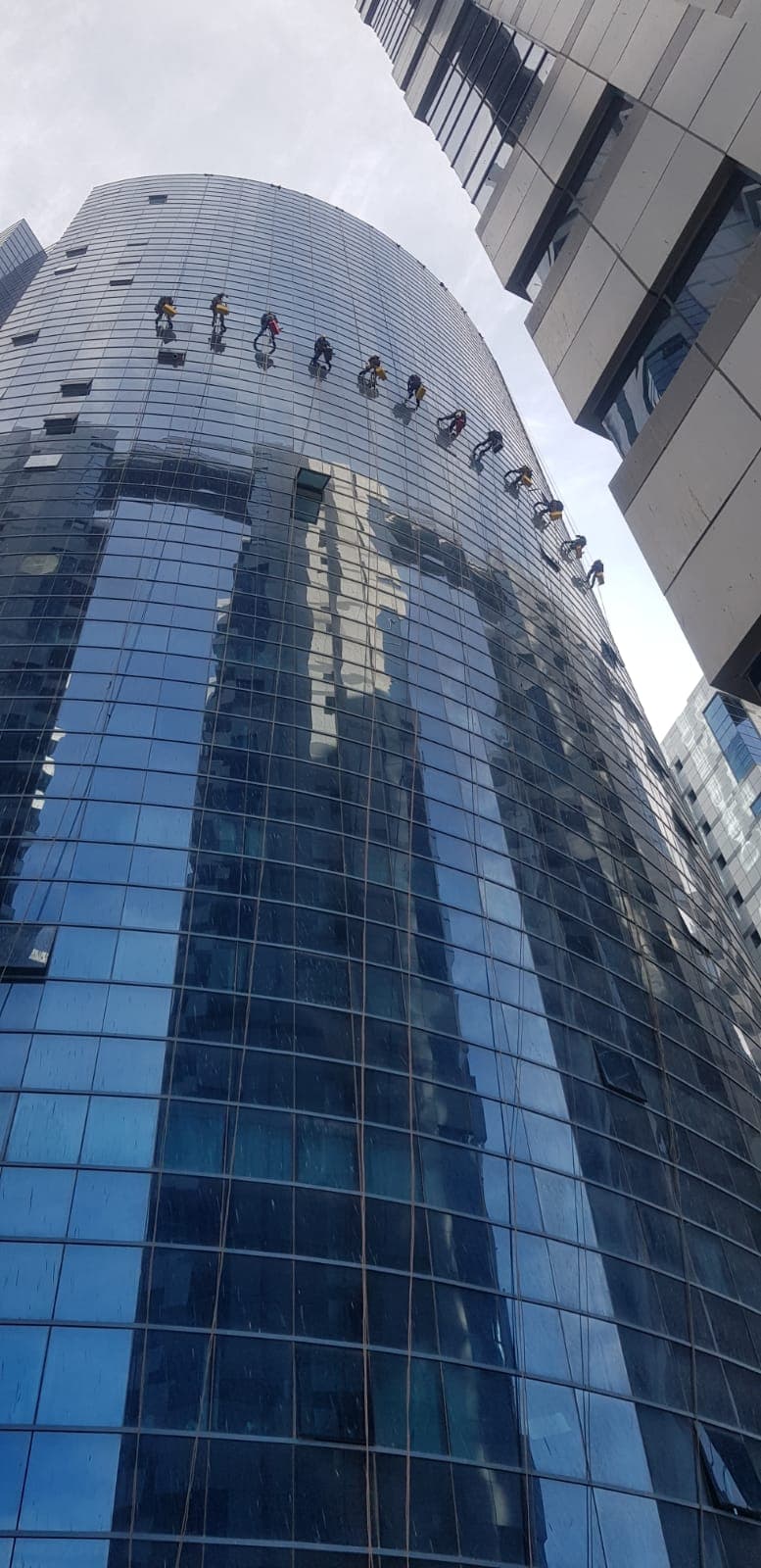 Glass Cleaning and Presentation